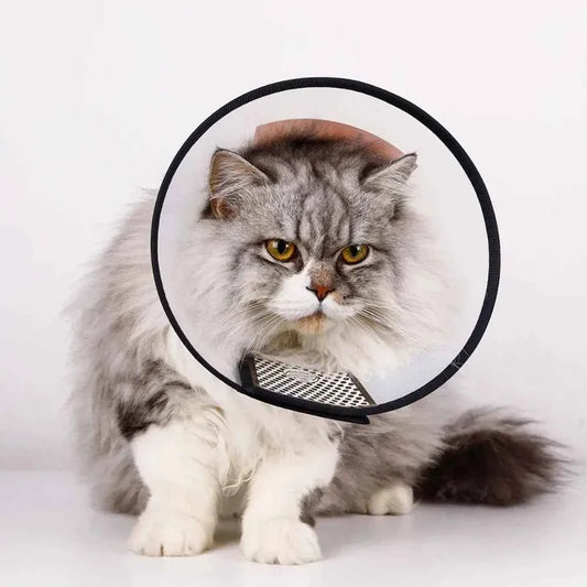 Dog Cat Pet Elizabethan Collar for Dogs Comfy Cones To Stop Licking Protective Collar for Dog After Surgery Anti-Bite Lick