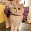 Mary Cat Bow Tie Pet Collar Scarf Cat Necklace Decoration Bichon Puppy Leash Toy Cat Home Garden Pet Supplies Accessories