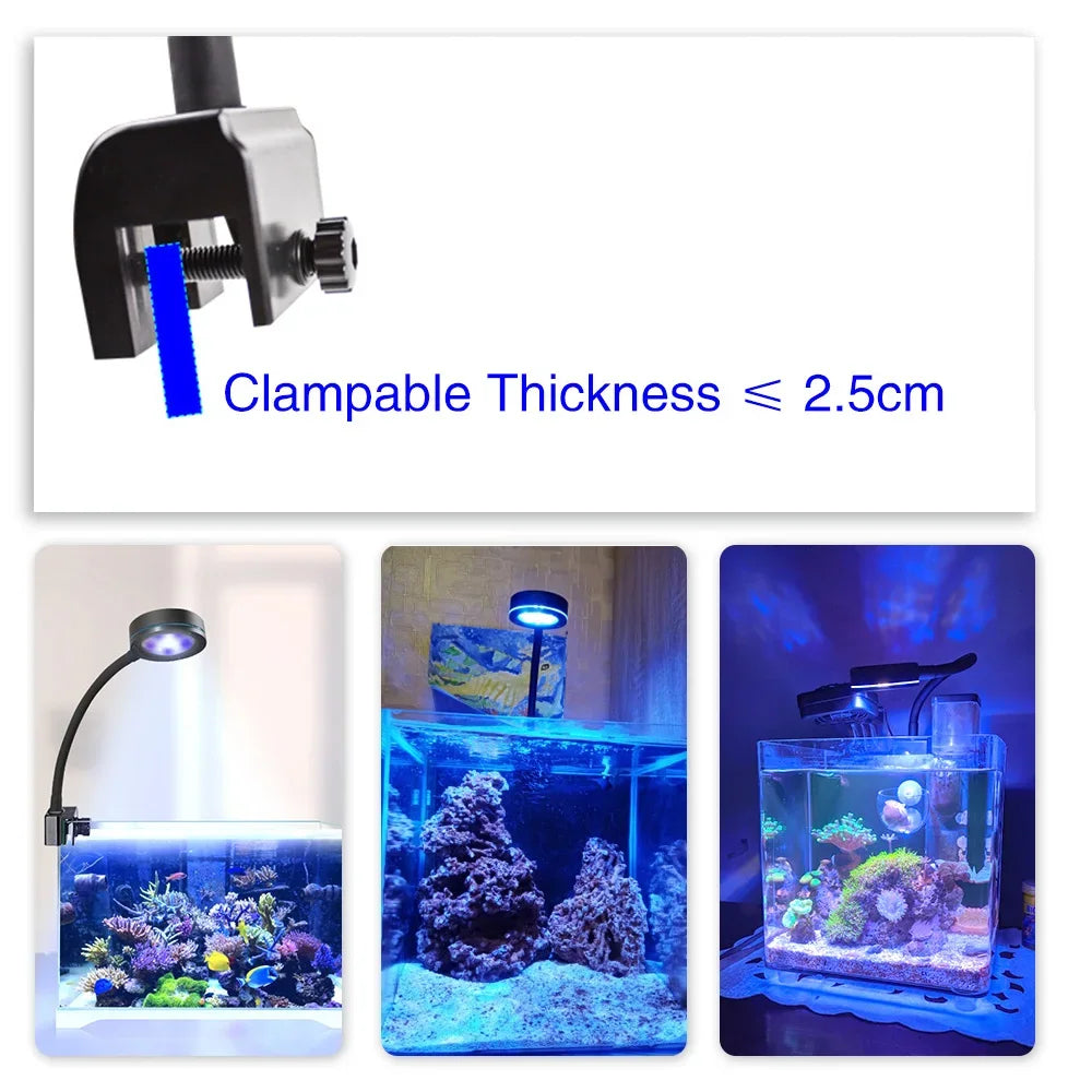 Aquarium LED light Marine coral SPS LPS Aquarium sea Reef Tank Blue White Beginner 90v-240v For 30-50 cm Seawater tank