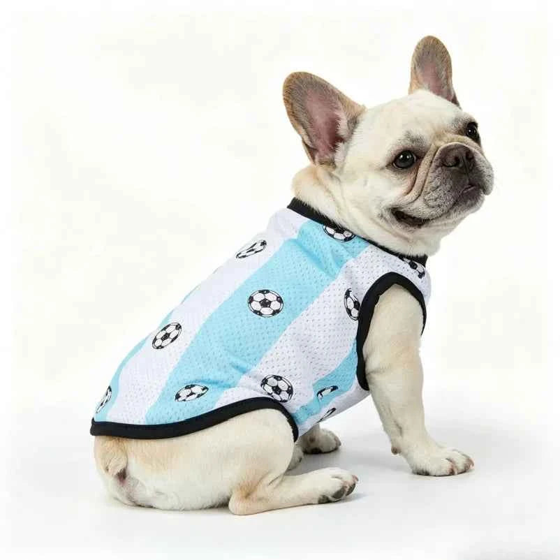 Lightweight Mesh Dog Jersey for Spring And Summer Breathable Pet Clothing Comfortable Doggy Shirt