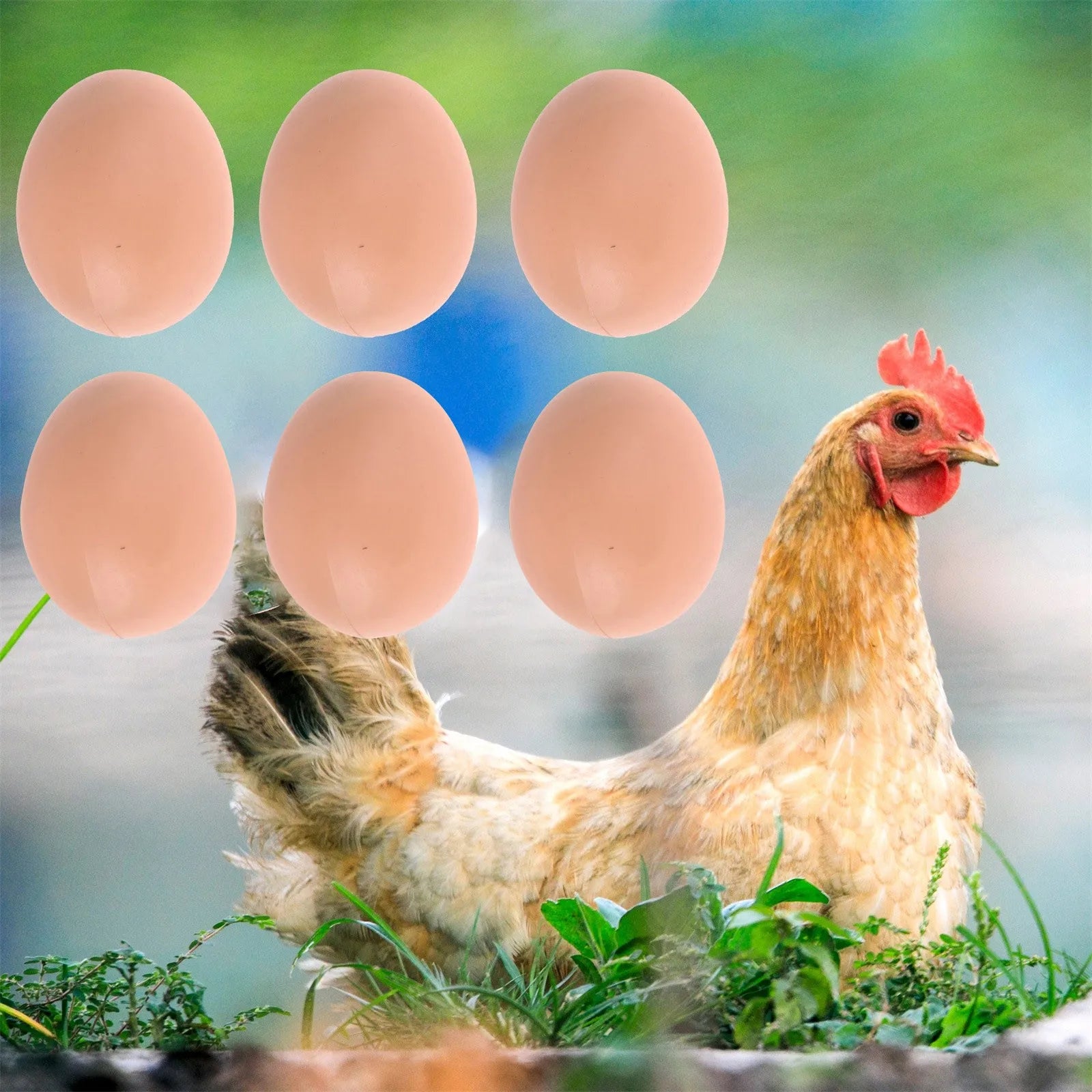 6pcs Plastic Eggs Chicken House Small Fake Eggs Farm Animal Supplies Cages Accessories Guide Chicken Nest Egg Painting