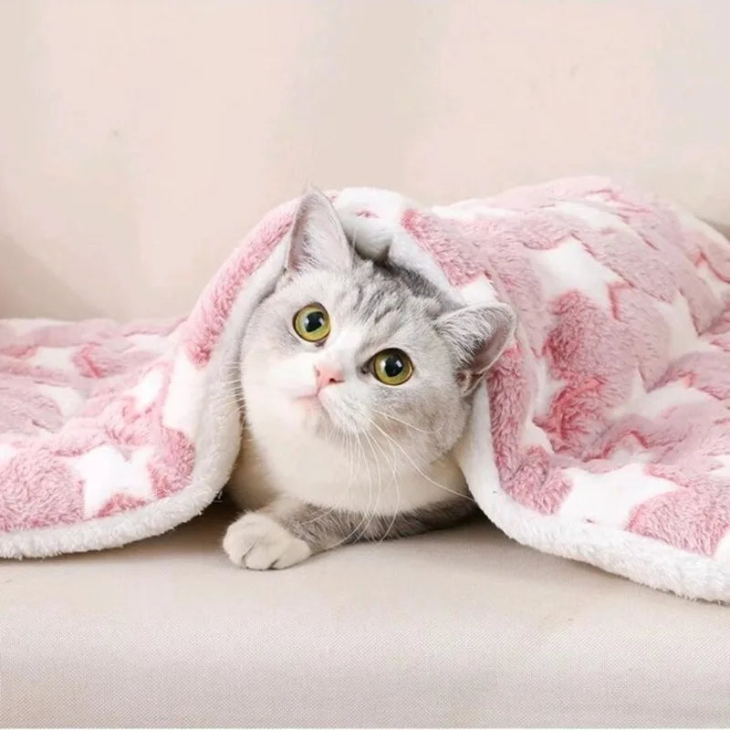 Thickened Comfortable Warm Small Cat Sleeping Cushion Skin-friendly Cute Winter Medium Dog Sofa Mat for Puppy Bed Accessories - Play Paws Toys