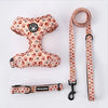 Harness for Cats Collar, Harness, Leash Accessories Pets Goods Kitten Pet Products Things Breast-band Supplies Kittens - Play Paws Toys