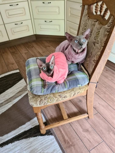 Fashionable Clothes For Cats Sphynx Cat Sweater Kitten Clothing Hound Dog Hoodie Clothes For Sphinx Cat Outfit Pet Jumpsuits - Play Paws Toys