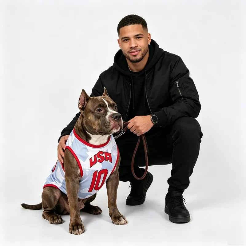 Sport Team Dog Vest Mesh Fabric Thin Style Cool Breathig Dog Vests Teddy Pug Golden Retriever Shiba Clothing Cat Dog Pet Clothes
