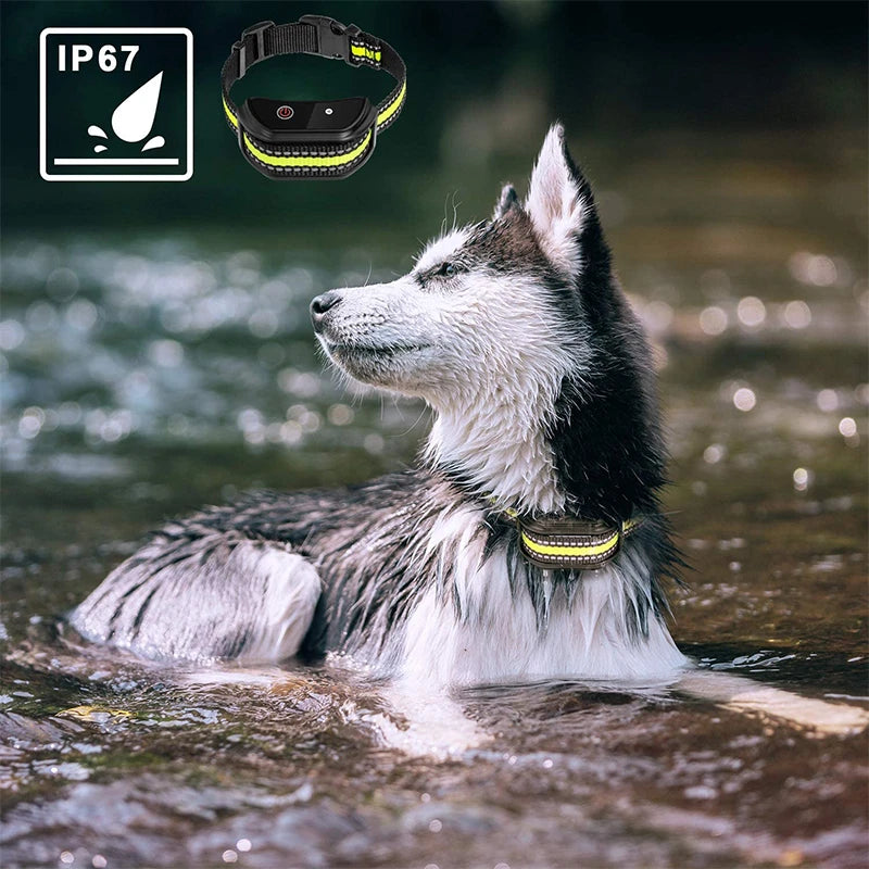 Pet Electric Dog Training Collar Remote Control 1000ft Barkproof Collars for Dogs Vibration Sound Shock Rechargeable Waterproof