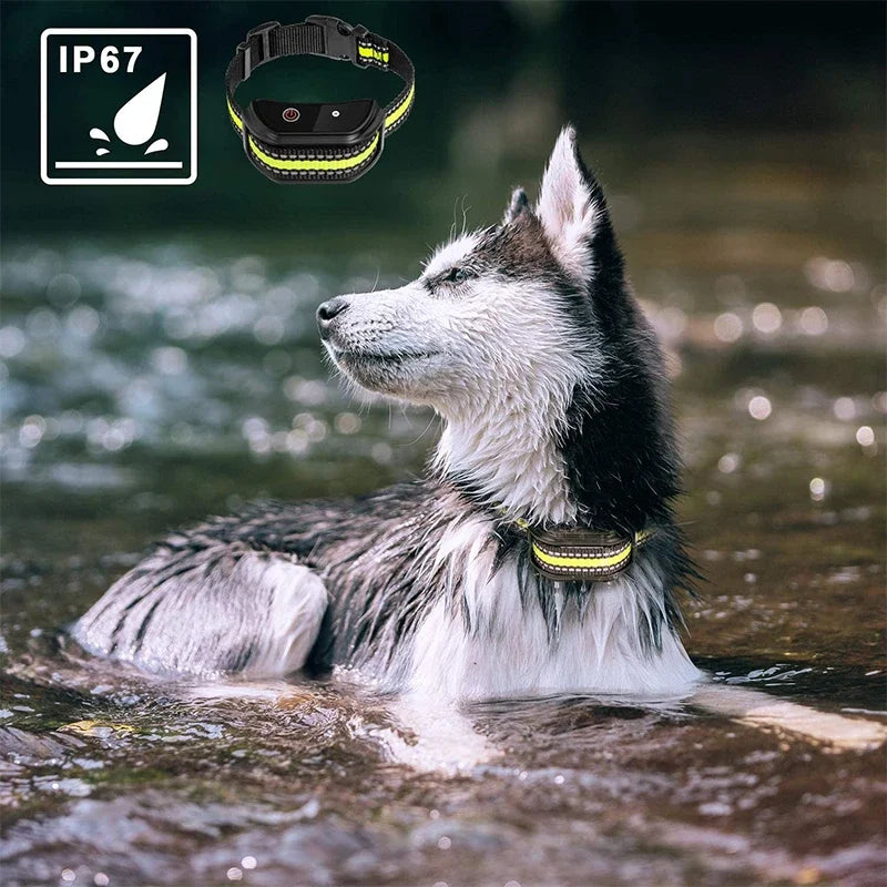 Pet Electric Dog Training Collar Remote Control 1000ft Barkproof Collars for Dogs Vibration Sound Shock Rechargeable Waterproof