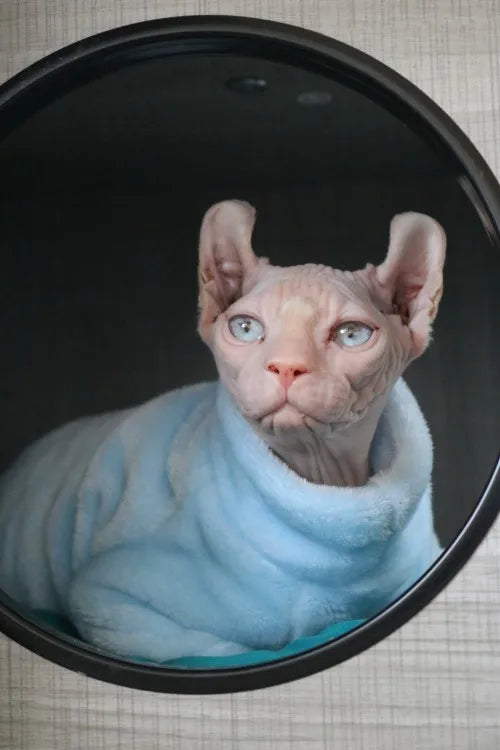 Fashionable Clothes For Cats Sphynx Cat Sweater Kitten Clothing Hound Dog Hoodie Clothes For Sphinx Cat Outfit Pet Jumpsuits - Play Paws Toys