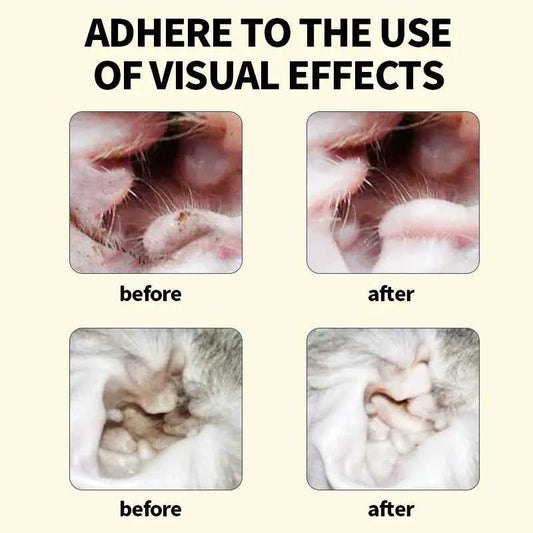Pet ear wash Cats and dogs ear water cleaning ear mite ear drops ear drops Department care pet cleaning products