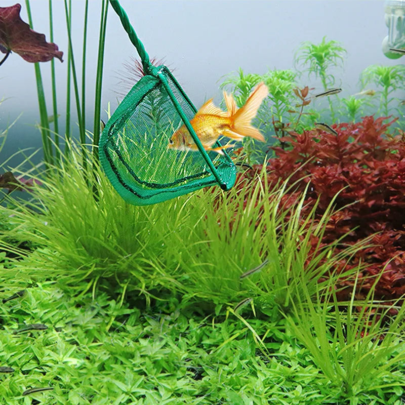 Portable Fish Net Long Handle Square Aquarium Accessories Fishbowl Landing Net Fishing Net Outdoors Crab Traps Fishing Tools