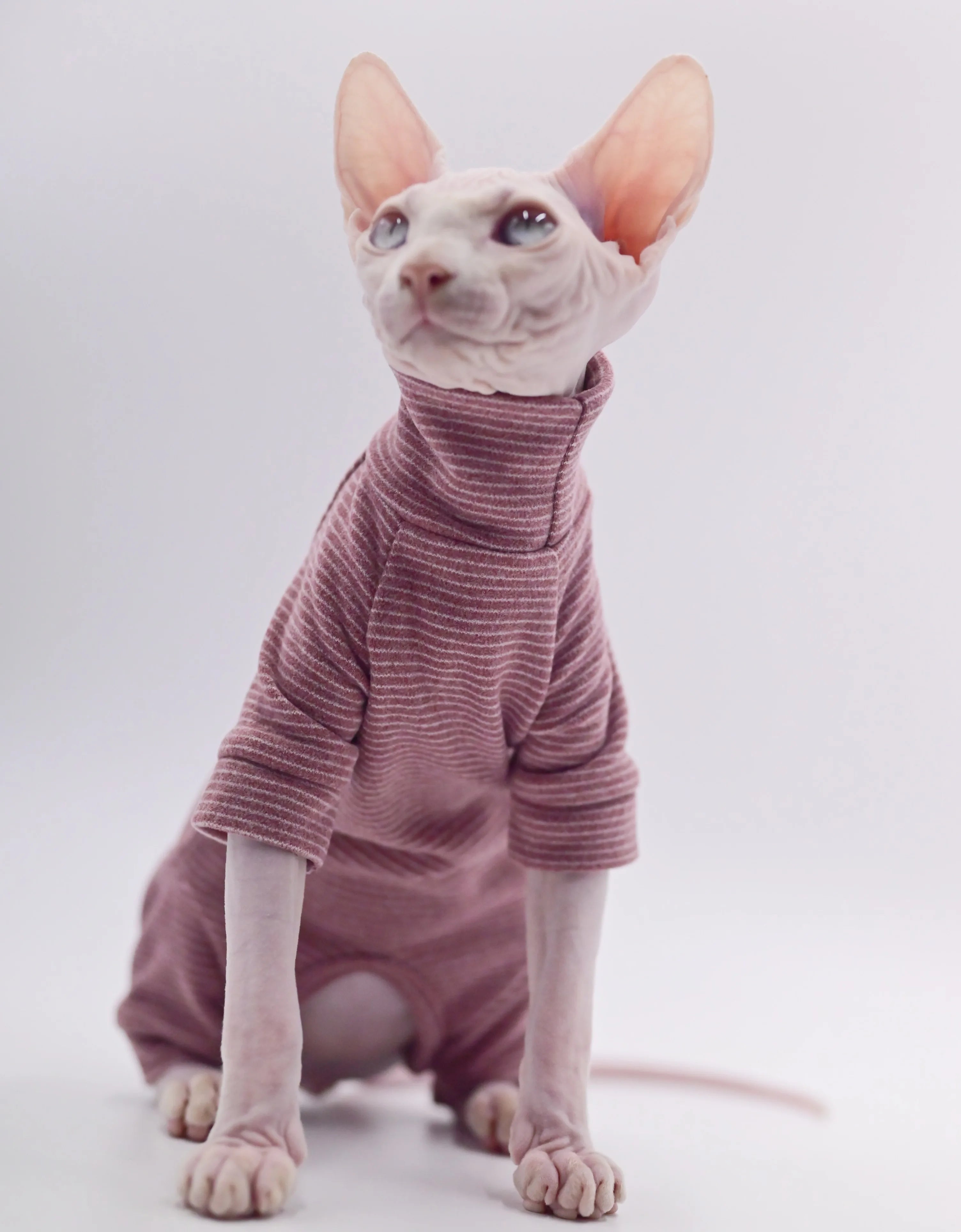 Hairless Cat Clothes Warm and Soft Four-Legged Hoodie for Sphynx Cats for Autumn and Winter for Devon Rex, Cornish - Play Paws Toys