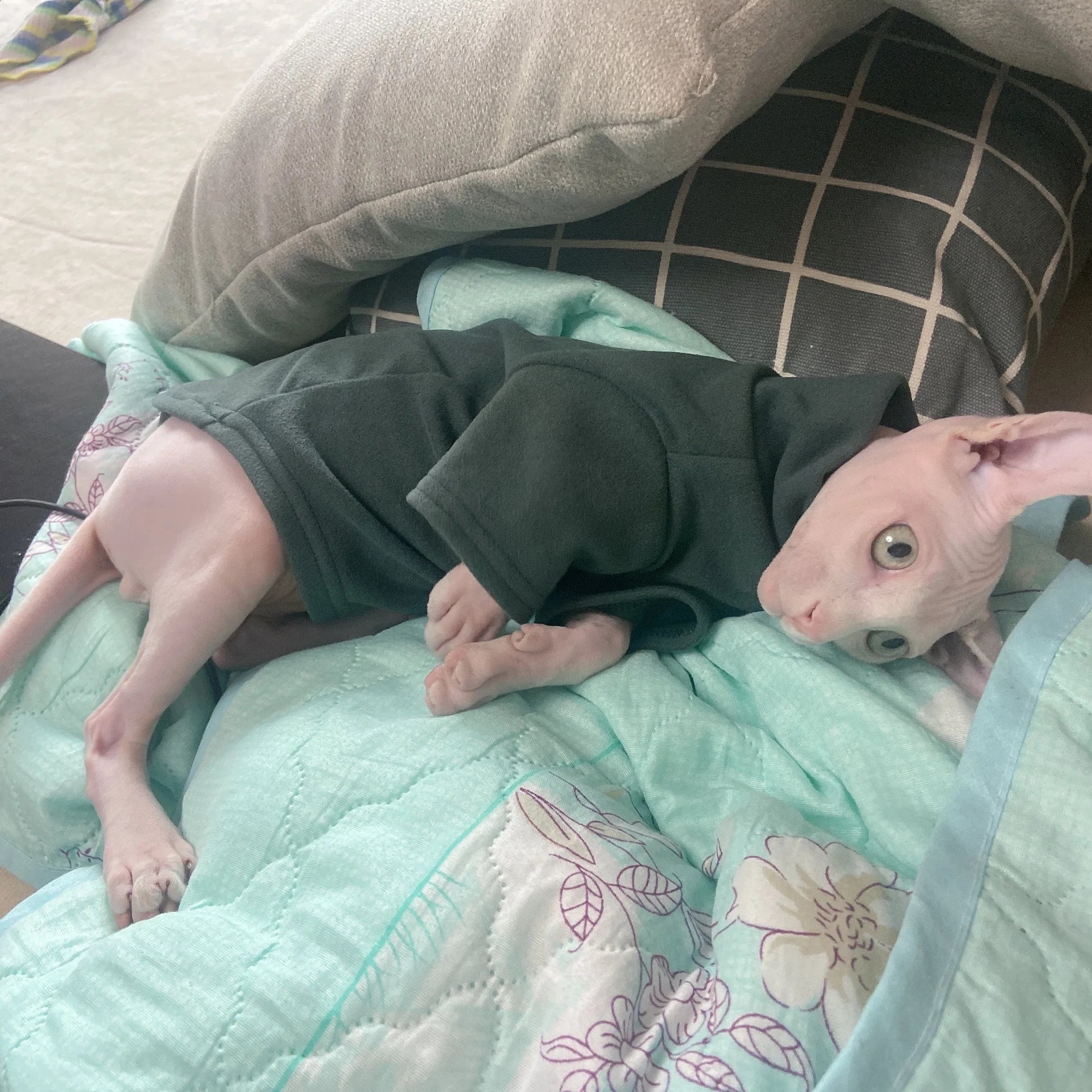 Sphynx Cat Clothes Baby Soft Cotton Fall Winter Kitten Small Dog Clothes for Cornish Devon Cat Costume Hairless Pet Clothes - Play Paws Toys