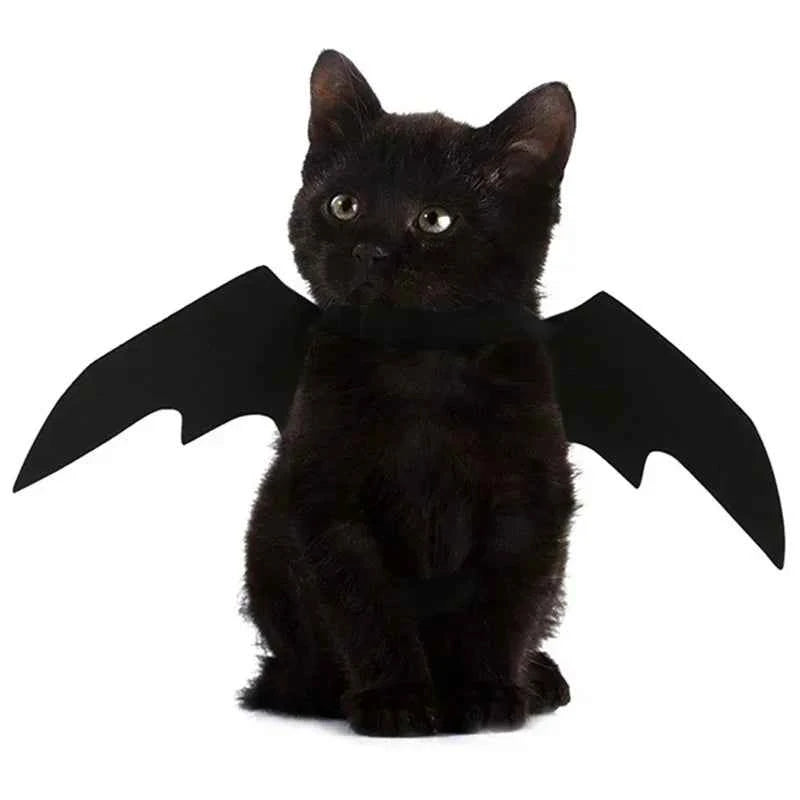 Creative Cute Pet Clothes Black Bat Wings Carrier Costume Cosplay Cat and Dog Party Pet Supplies Cosplay
