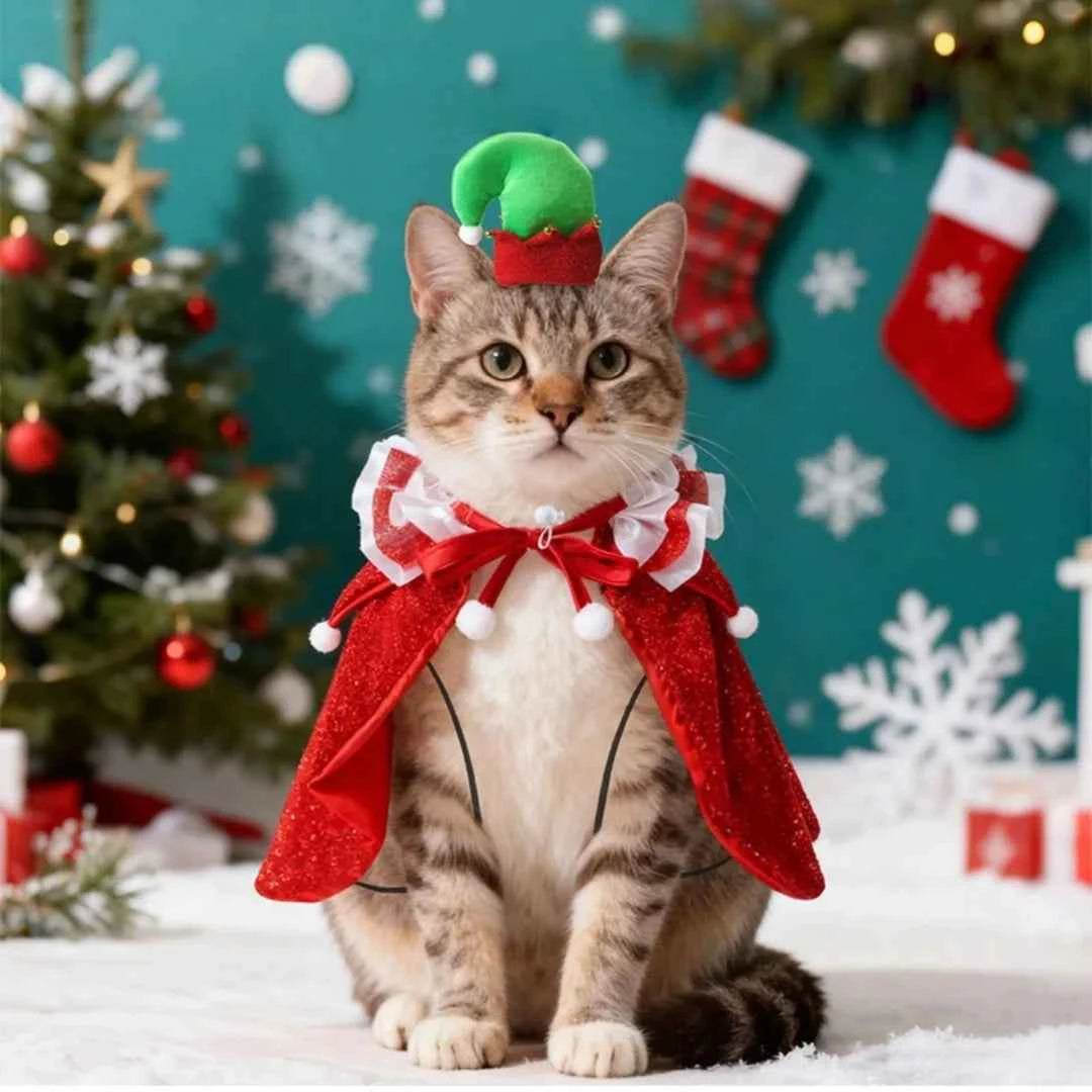 Cute  Pet Costume for Dogs Cats,  Elegant Cape Hat Set for  Holiday Photo Shoot, Funny Festival Outfit for Small Medium Breeds