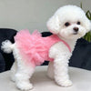 Cute Breathable Puppy Slip Dress Lace Hem Summer Pet Princess Dress Adorable Skin-friendly Dog Puffy Dress for Small Dog Cat