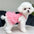 Cute Breathable Puppy Slip Dress Lace Hem Summer Pet Princess Dress Adorable Skin-friendly Dog Puffy Dress for Small Dog Cat