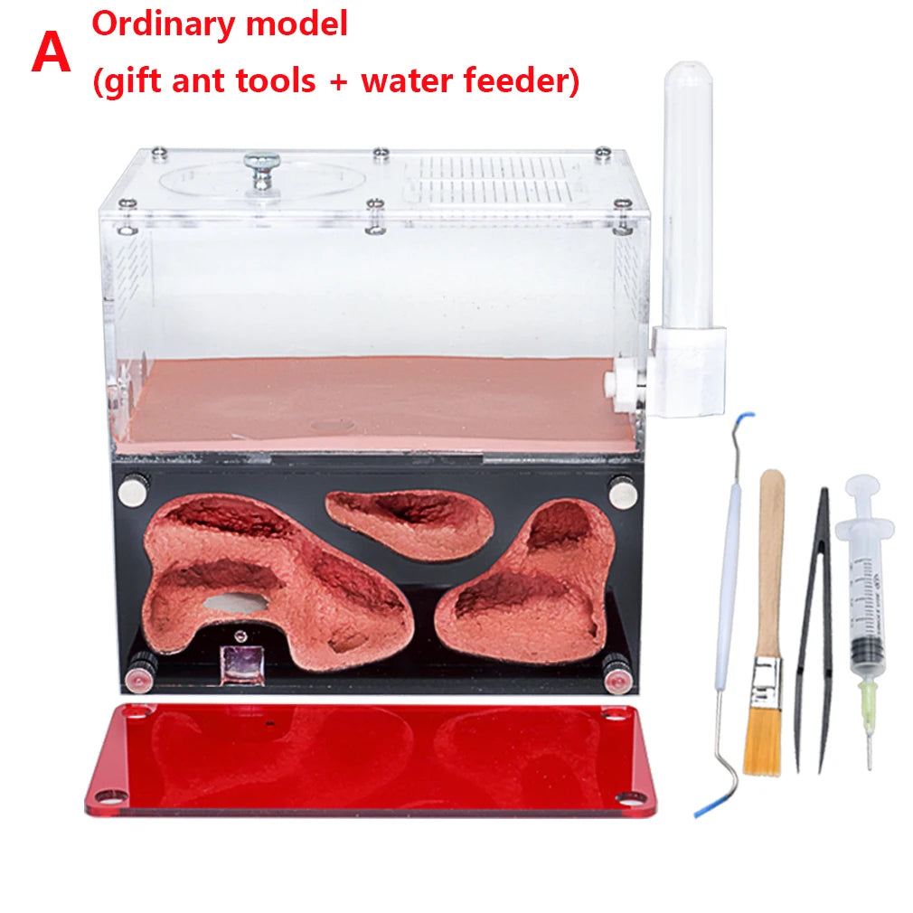 Acrylic Ant Farm Temperature Control Concrete Ant Nest Infinite Expansion Insect House Colony Drinker Anthill Kit Accessories