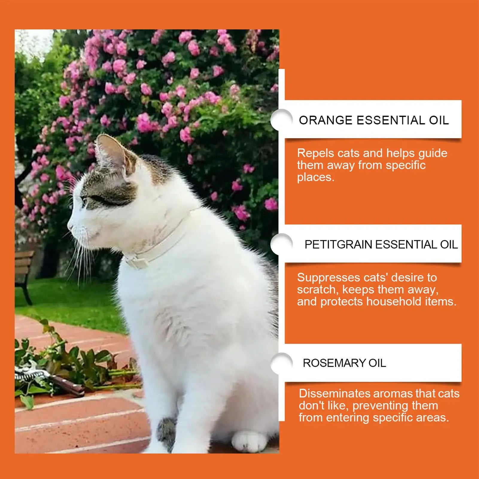 100ml Cat Anti scratch Spray Orange Fragrance Sofa Curtain Protectors Restricted Area Stop Cats Dogs Scratching Pet Training Aid