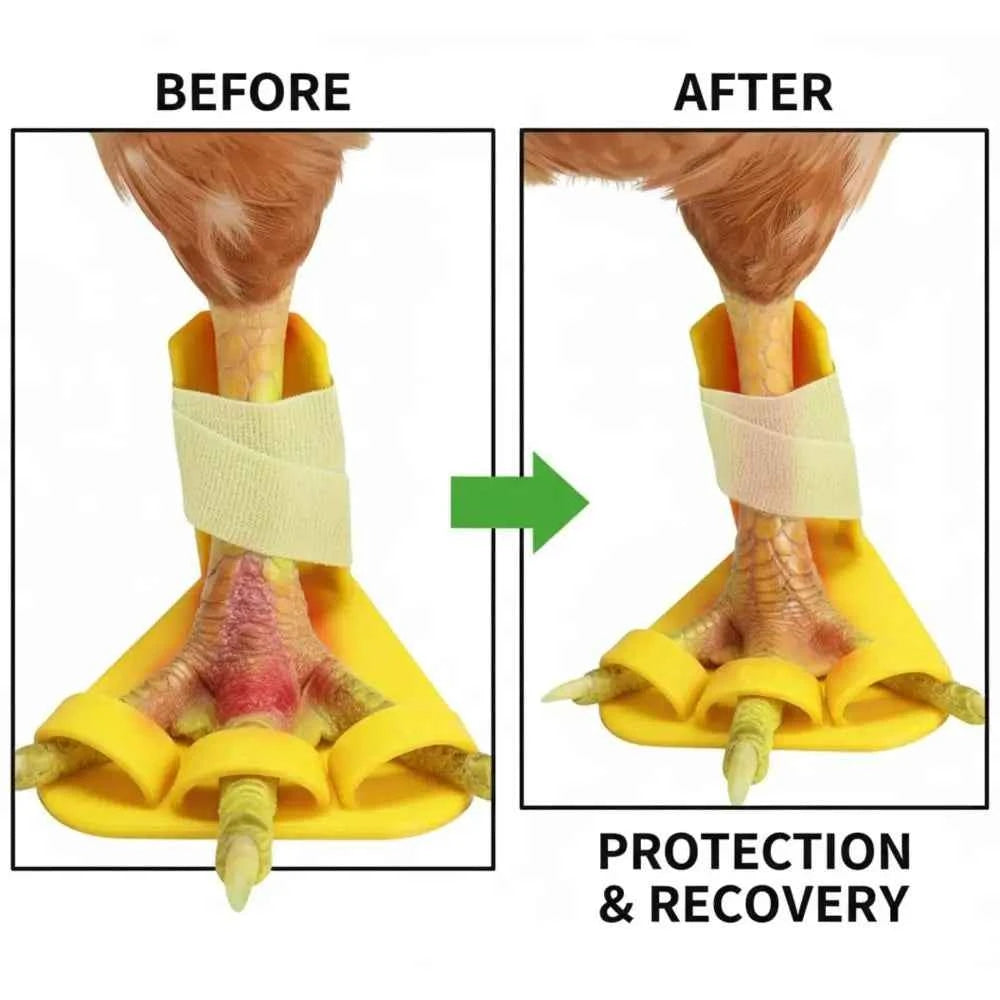 4pcs Professional Adjustable Chicken Leg Splint Reusable Ightweight Duck Leg Splint Durablel Poultry Leg Brace Poultry Care