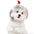 Pet Wig Dog Wig Pet Supplies Halloween Pet Accessories Curly Hair Straight Hair Cat Wig It can be DIY trimmed