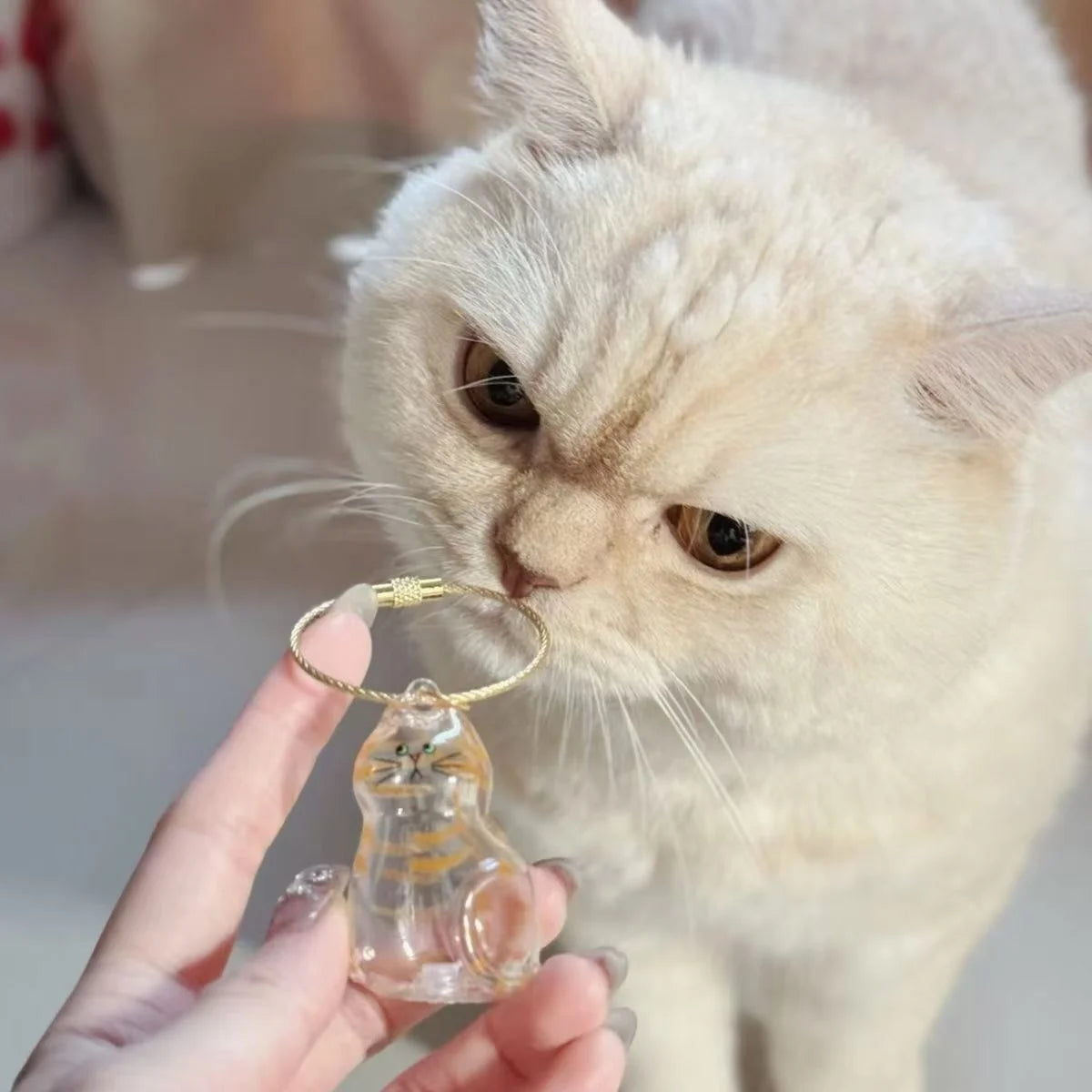 Transparent Cat Hair Storage Box Charm Gacha Cat Hair Storage Capsule Commemorative Collection Bag Keychain Pendant - Play Paws Toys