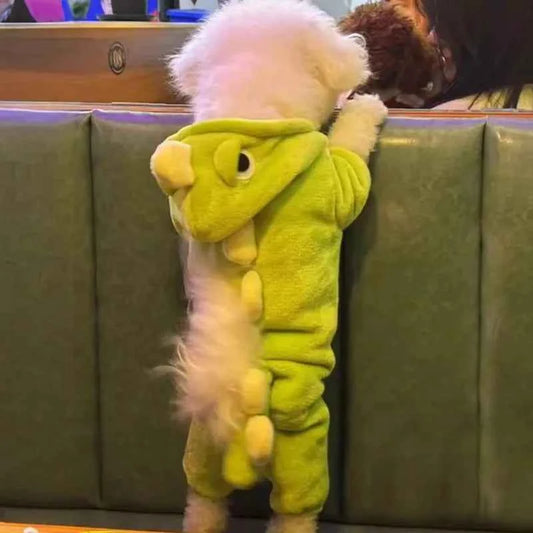 New Small Dinosaur Transforming Dog Clothes Autumn Winter Flannel Warm Teddy Cat Pet Clothes Dog Jumpsuits Rompers