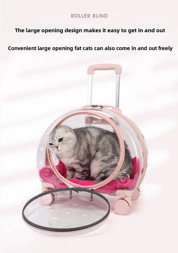 Transparent Pet Travel Carrier Portable Trolley Suitcase for Cats & Small Dogs Durable Pet Transport Case Professional Pet Cart - Play Paws Toys