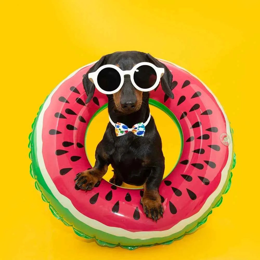 20PCS Dog Bow Tie Summer Fashion Pet Grooming Accessories Handmade Adjustable Collar Bowties For Dogs and Cats Pet Product