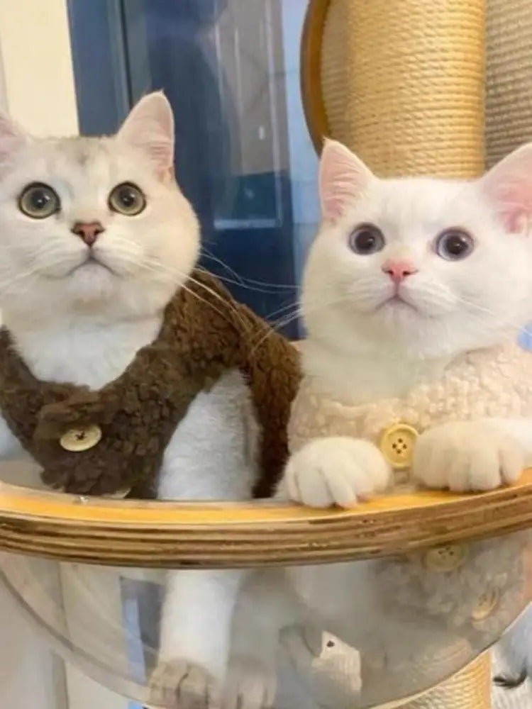 Cat clothes, warm lamb wool vest, autumn and winter teddy pomeranian pet winter clothes, cute korean clothes - Play Paws Toys