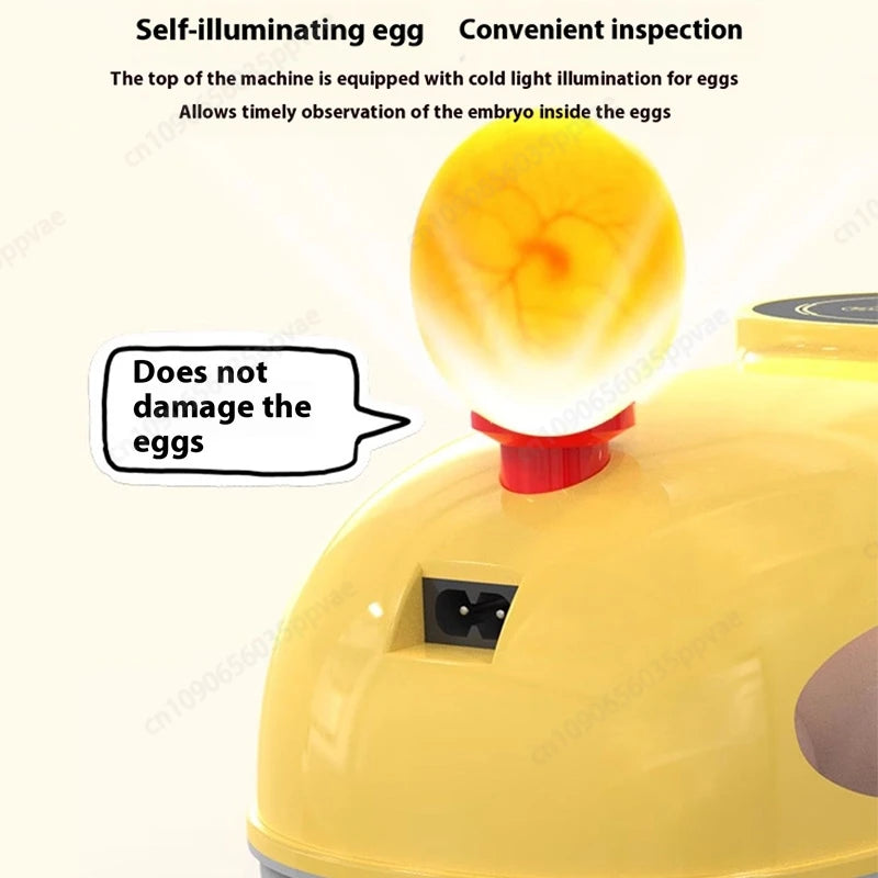 Wholesale Price Smart Egg Incubator For Quail And Bird Eggs With Auto Turn Function And Digital Thermostat Perfect For Hatching