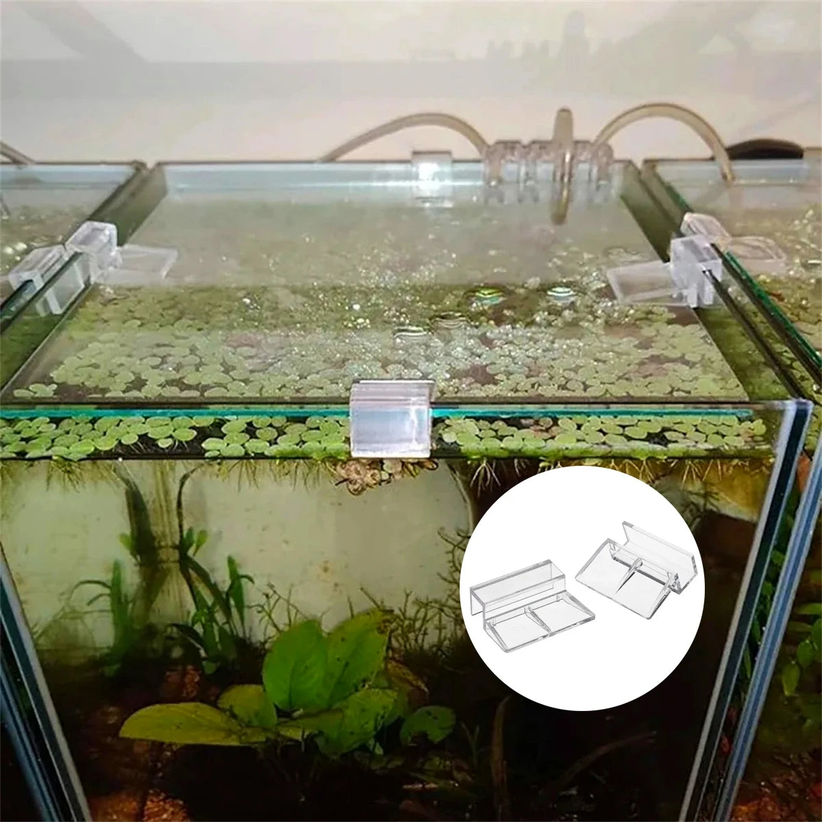 10Pcs Transparent Acrylic Fish Tank Glass Lid Clip Brackets Aquarium Filter Light Stand Support Holders Clip Width 5/6/8/10/12mm