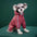 Dog Raincoat All-inclusive Four-legged Waterproof Poncho Teddy Bomei Rainy Day Pet Clothes Small Medium Dog Raincoat