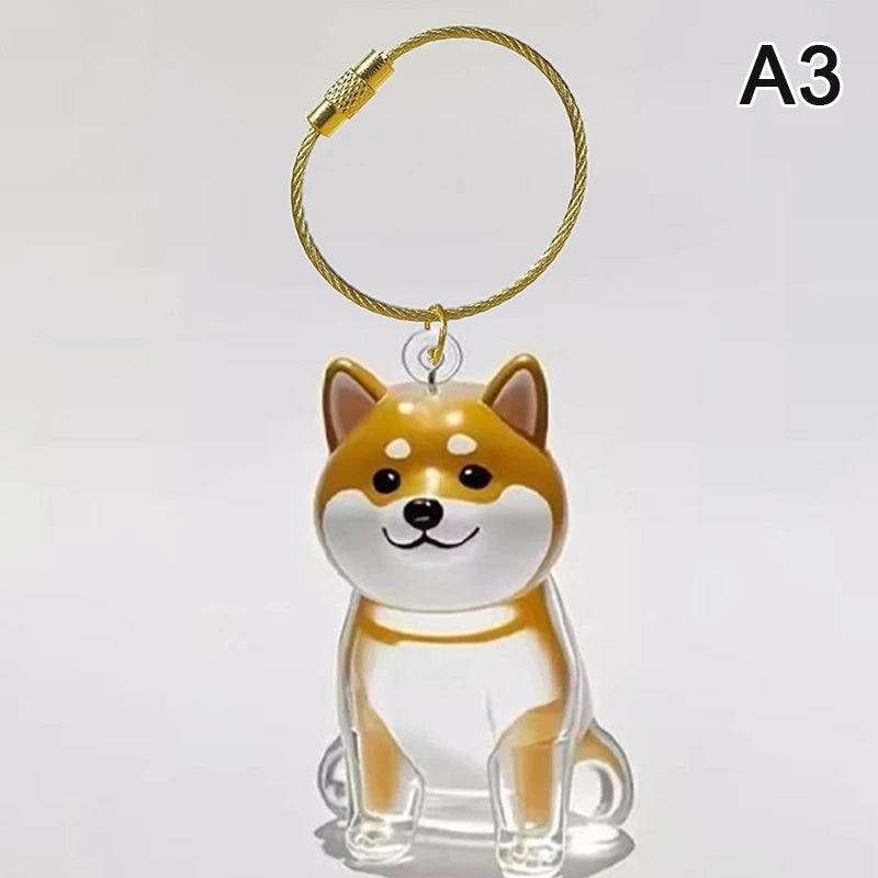 Clear Pet Hair Memorial Keepsake Capsule Dog Fur Container DIY Pendant Keychain Decor Animal Lovers Home Display Gift Idea