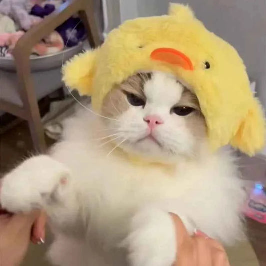 Funny Pet Headband Plush Yarn Panda Pig Chick Cat Dog Warm Cosplay Costume Headdress for Cats Dogs Pets Supplies Accessories