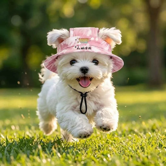 Customizable Pet Sun Hats with Name, Ear-exposed Sun Protection Hats for Dogs in Summer, Cute Bucket Hats for Small Dogs and Cats. Available in 4 colors, ideal pet accessories for outdoor photography.