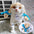 Dogs Cats Hair Hat Funny Pet Wigs Cosplay Props Costumes Head Accessories for Halloowen Christmas Gift
