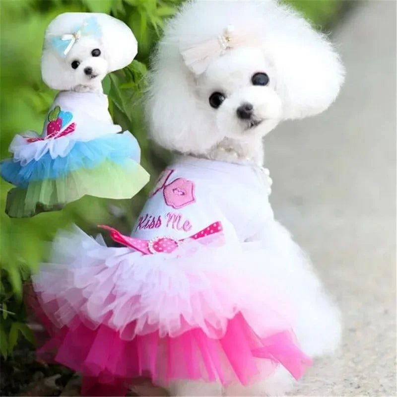 Puppy Summer Dress Dog Cat Lace Skirt Pet Clothing Chihuahua Stripe Skirt Cat Princess Apparel Cute Puppy Clothe Dog Accessories