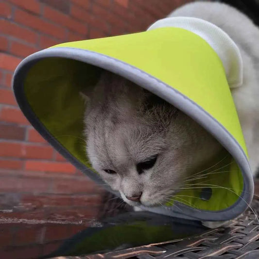 Adjustable Cat Cone Collar Lightweight Anti-bite Elizabethan Collars Breathable Easy To Eat and Drink Pet Protective Cover