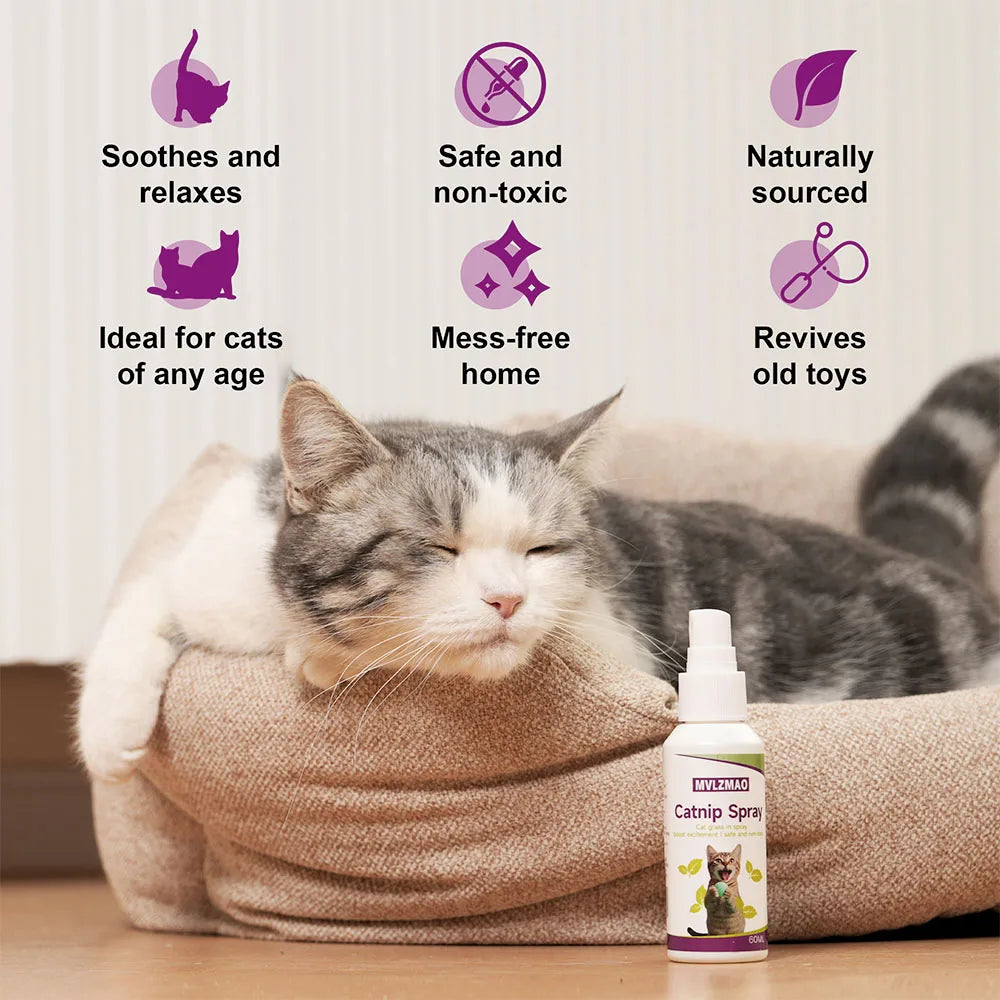 Organic 100% Natural High Quality Catnip Cattle Grass Mint Taste Funny Cat Toy New Cat Toy Interactive Cat Toys Pet Supplies