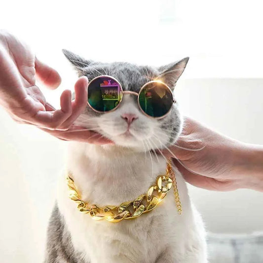Gold Chain Pet Necklace for Cats and Small Dogs Fashionable Chunky Link Collar for Photo Shoots Daily Wear Party Costume