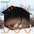 KEMORELA Large Winter Outdoor Cat House & Dog Kennel with Insulated Plush Interior, Easy Assembly,Durable Oxford Fabric for Cats - Play Paws Toys