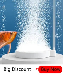 Glass Aquarium Feeder Tube Dish Transparent Fish Tank Shrimp Snail Food Feeder Bowl Aquarium Feeding Accessories Shrimp Feeders