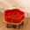 Ceramic Slow Food Bowl Anti-choking Cat Feeding Basin To Prevent Black Chin Small Dog Cat Neck Guard Wooden Frame Slow Food Bowl
