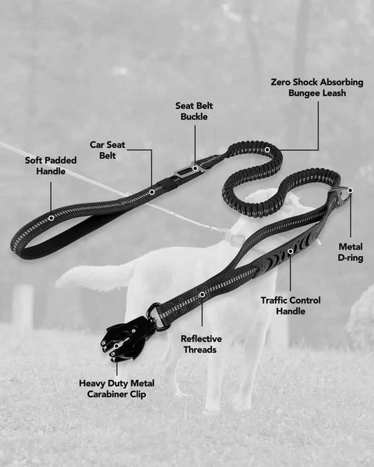 Classic Adjustable Dog Collar, Reflective Training Military Dog Collar, Nylon Heavy Duty Tactical Dog Collar, German Shepherd