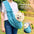 Outdoor Pet Carrier Bag Portable Shoulder Bag Cat Walking Bag For Small Dog Cats within 7.5kg Pet Supplies Travel and Hiking