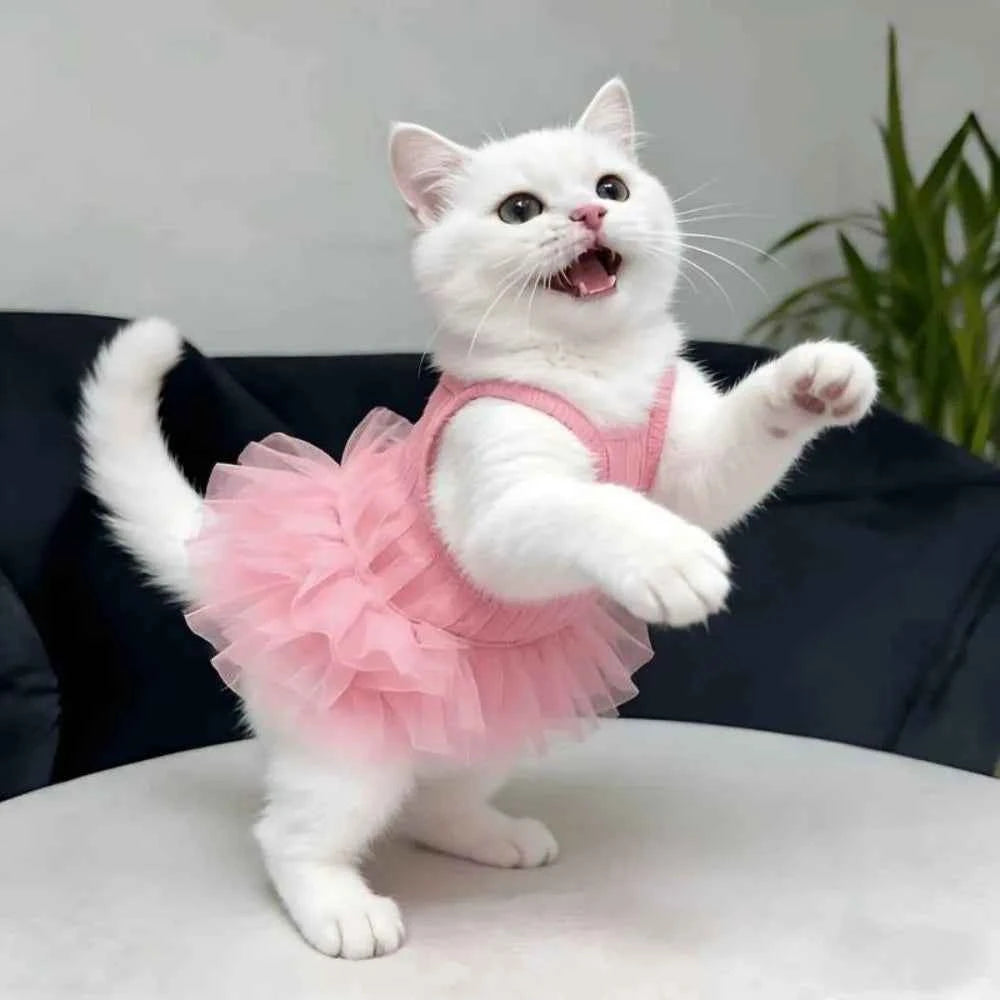 Cute Breathable Puppy Slip Dress Lace Hem Summer Pet Princess Dress Adorable Skin-friendly Dog Puffy Dress for Small Dog Cat