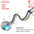 Interactive Cat Toys Ball Cover Set Fast Rolling in Pouch Hide and Seek Kitten Toy Motion Activated Interactive Cat Toy Indoor