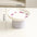 Elevated Ceramic Cat Bowl Non-Slip Pet Food DishHeavy Base for Flat-Face Cats/Dogs, Neck Protection, Anti-Spill, Easy Clean