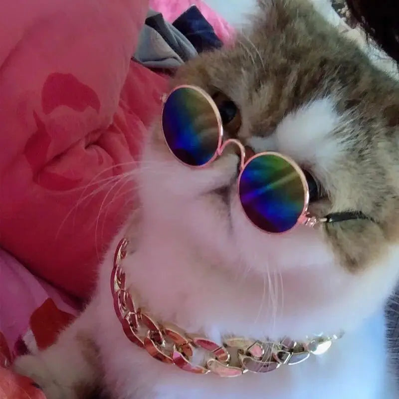 Pet Accessories Cat Glasses Non-slip Kitten Glasses Small Dog Sunglasses Puppy Kitty Cat Sunglasses Cosplay Costume Photos Props