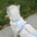 Cat Harness and Leash Sets Adjustable Dog Harness for Small Dog Leash Breashable Pet Harness Out Walking Dog Strap